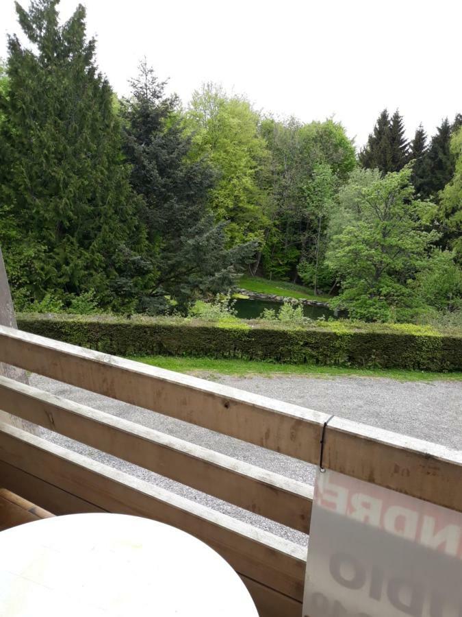 Residence Le Faucon - Col Du Donon Grandfontaine  المظهر الخارجي الصورة