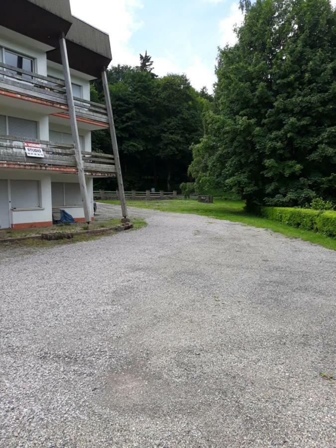Residence Le Faucon - Col Du Donon Grandfontaine  المظهر الخارجي الصورة